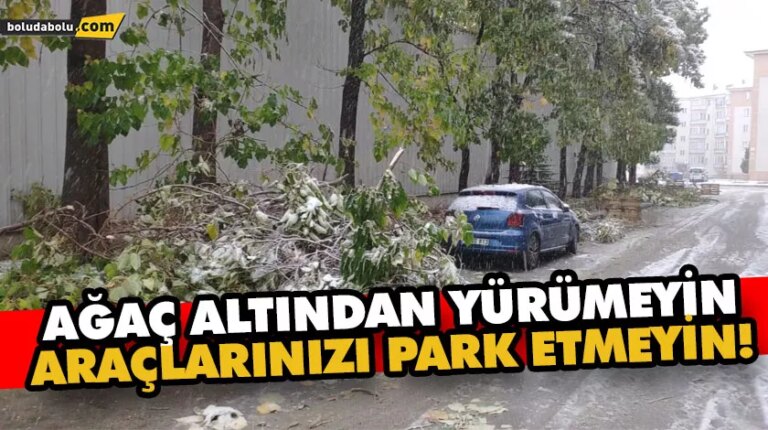 Ağaç altından yürümeyin araçlarınızı park etmeyin!