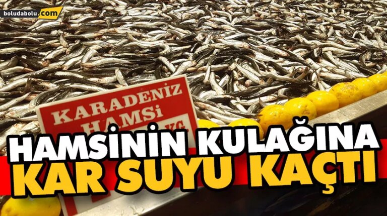 HAMSİNİN KULAĞINA KAR SUYU KAÇTI