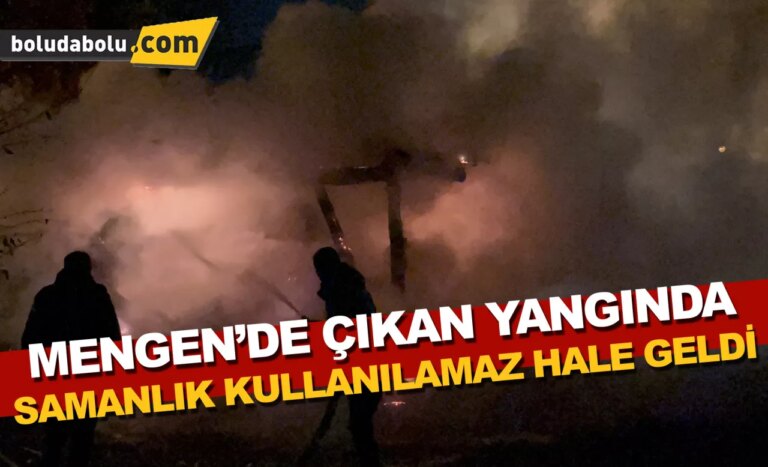 Mengen’de çıkan yangından samanlık kullanılamaz hale geldi