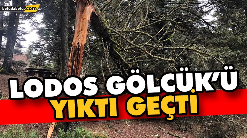 Lodos Gölcük Tabiat Parkı’nı yıktı geçti Lodos Gölcük Tabiat Parkı’nı yıktı geçti