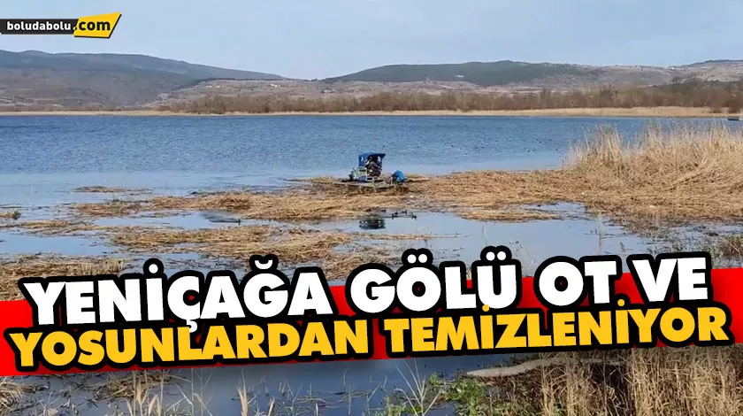 Yeniçağa gölü ot ve yosunlardan temizleniyor Yeniçağa gölü ot ve yosunlardan temizleniyor