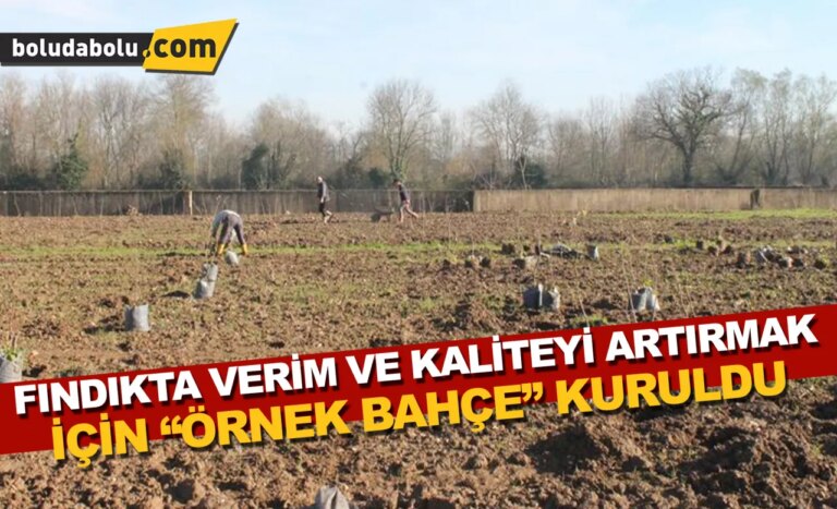 Düzce’de fındıkta verim ve kaliteyi arttırmak için “örnek bahçe” kuruldu