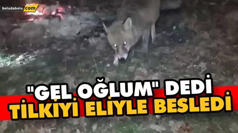 “GEL OĞLUM” DEDİ, TİLKİYİ ELİYLE BESLEDİ