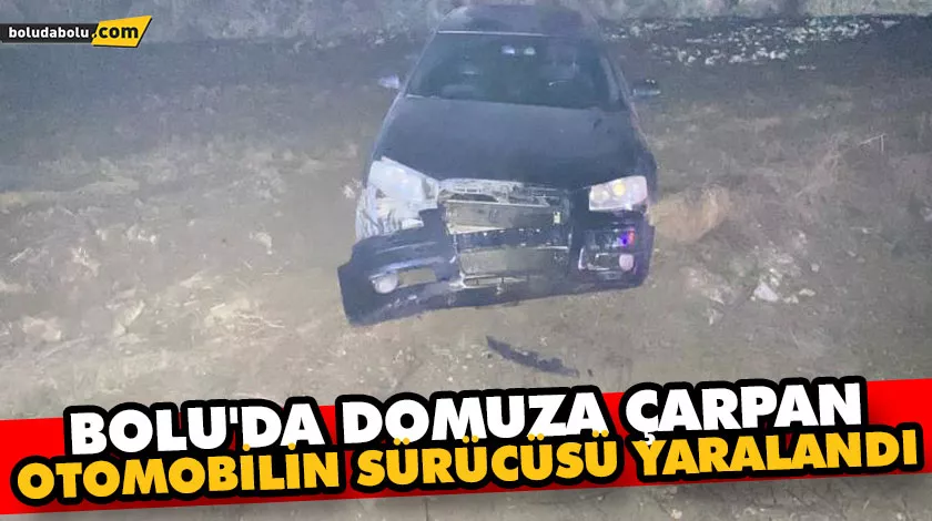 BOLU’DA DOMUZA ÇARPAN OTOMOBİLİN SÜRÜCÜSÜ YARALANDI BOLU’DA DOMUZA ÇARPAN OTOMOBİLİN SÜRÜCÜSÜ YARALANDI