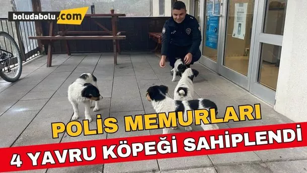 Mudurnu’da polis ekipleri 4 köpek yavrusunu sahiplendi Mudurnu’da polis ekipleri 4 köpek yavrusunu sahiplendi