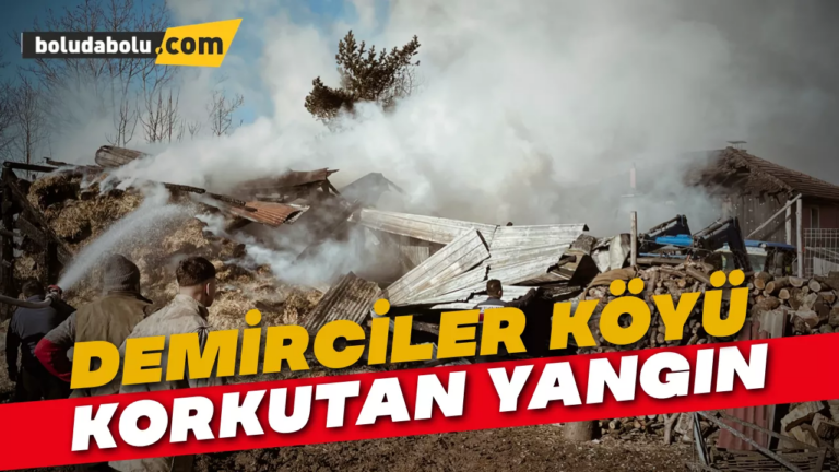 Demirciler köyü yangın