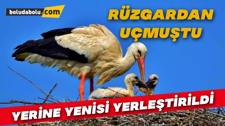 Rüzgardan uçtu