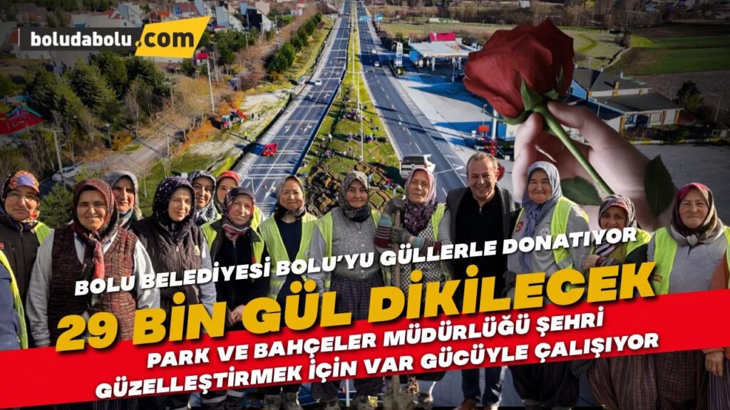 Bolu Belediyesi D-100 Karayolu’nun Dağkent mevkiine 29 bin adet gül dikecek. Bolu Belediyesi D-100 Karayolu’nun Dağkent mevkiine 29 bin adet gül dikecek.