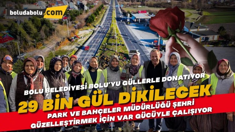 Bolu Belediyesi D-100 Karayolu’nun Dağkent mevkiine 29 bin adet gül dikecek.