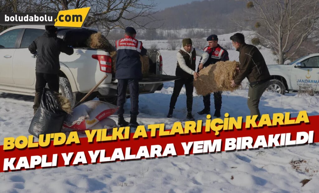 Bolu’da yılkı atları için karla kaplı yaylalara yem bırakıldı Bolu’da yılkı atları için karla kaplı yaylalara yem bırakıldı