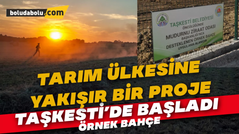 Örnek Bahçe Projesi