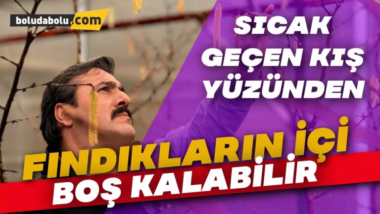 Fındık tanelerinin içi sıcak geçen kış nedeniyle boş kalabilir