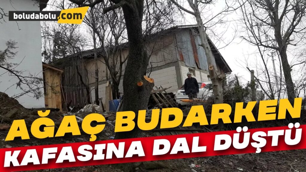 Ağaç budarken kafasına dal düştü Ağaç budarken kafasına dal düştü