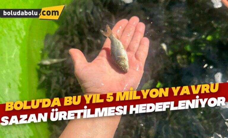 Bolu’da bu yıl 5 milyon yavru sazan üretilmesi hedefleniyor