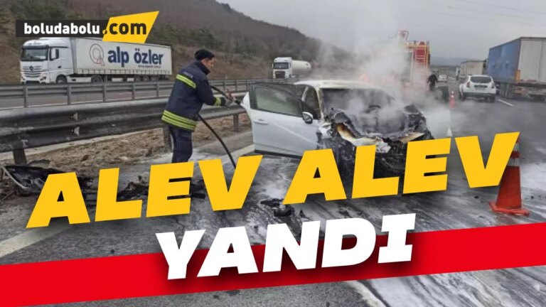Kaza yapan otomobil alev alev yandı