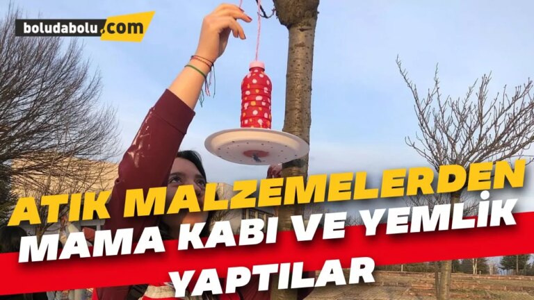 Bolu’da üniversite öğrencileri atık malzemelerden yemlik ve mama kabı yaptı