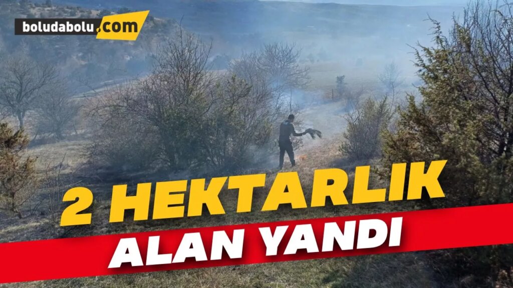 Yeniçağa’da çıkan anız yangını ormana sıçramadan söndürüldü