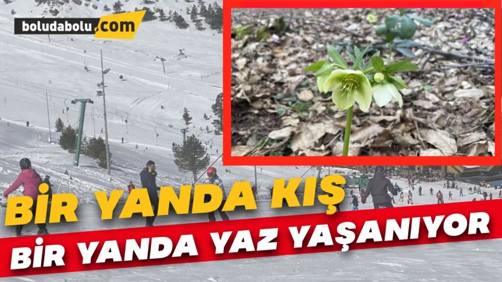 Bolu’da yüksek kesimlerde kış, merkezde bahar yaşanıyor Bolu’da yüksek kesimlerde kış, merkezde bahar yaşanıyor