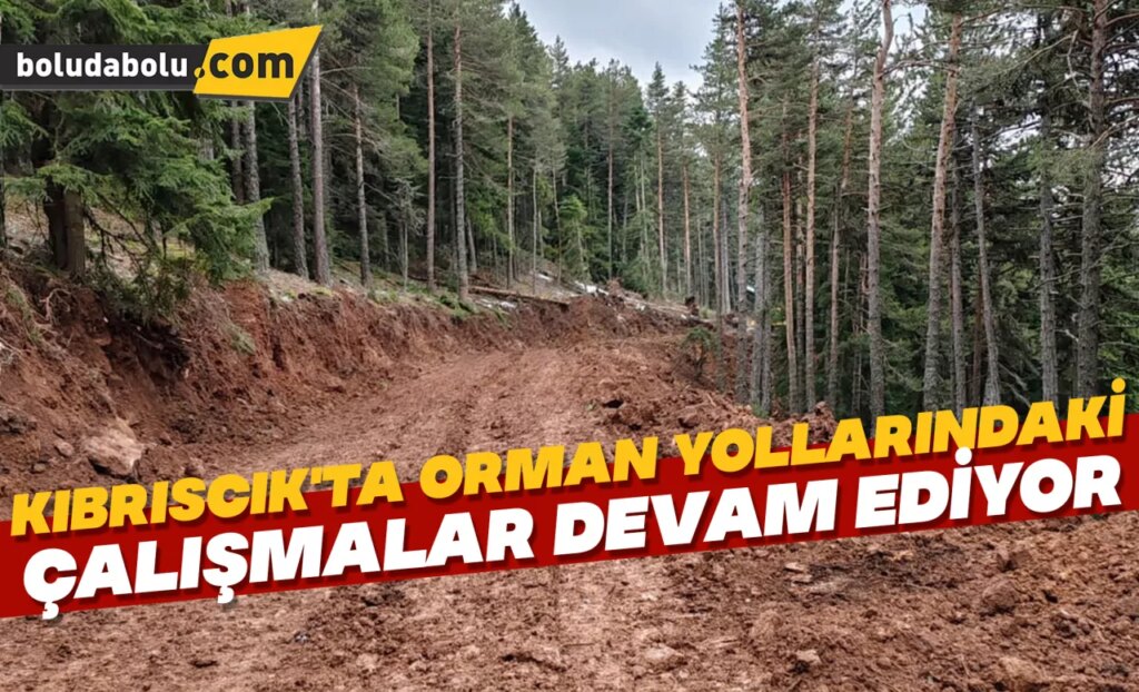 Kıbrıscık’ta orman yollarındaki çalışmalar devam ediyor
