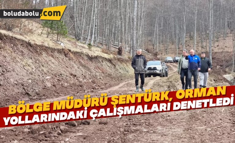 Bölge Müdürü Şentürk, orman yollarındaki çalışmaları denetledi