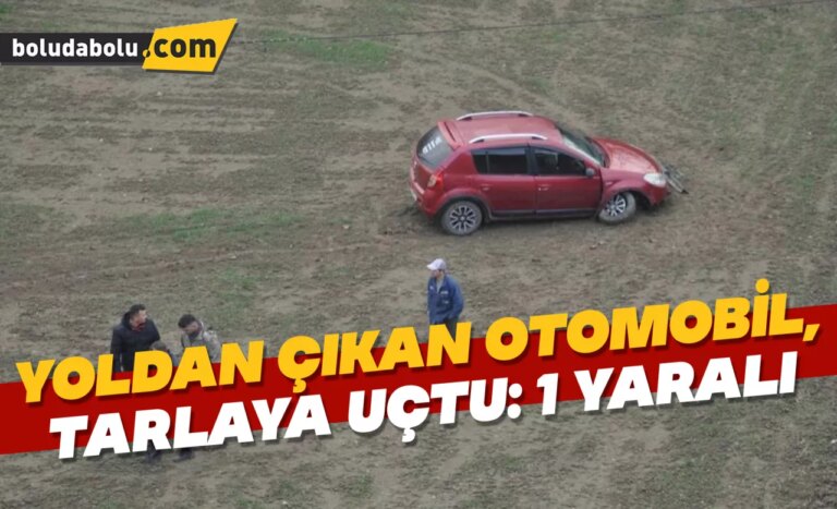 Yoldan çıkan otomobil, tarlaya uçtu: 1 yaralı