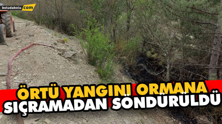 ÖRTÜ YANGINI ORMANA SIÇRAMADAN SÖNDÜRÜLDÜ
