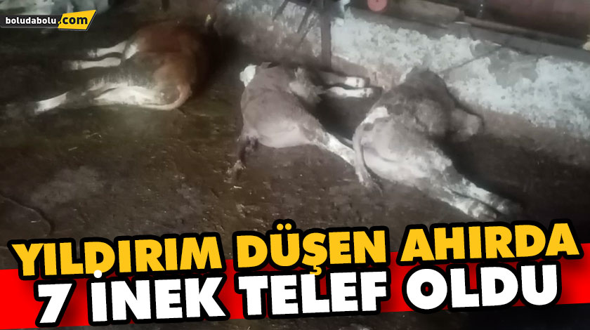 YILDIRIM DÜŞEN AHIRDA 7 İNEK TELEF OLDU