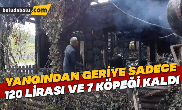 Yangından geriye sadece 120 lirası ve 7 köpeği kaldı