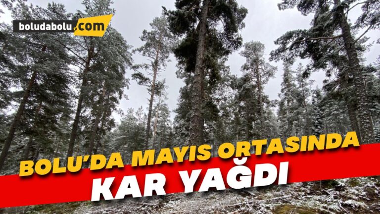 Bolu’da mayıs ortasında kar yağdı