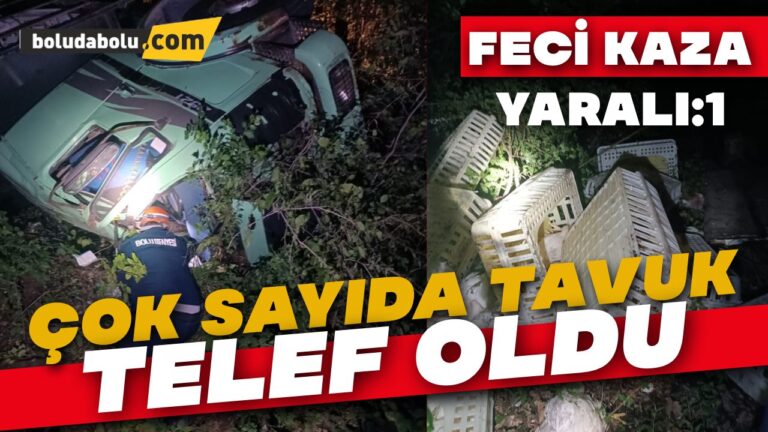 Bolu’da canlı tavuk yüklü tır devrildi: 1 yaralı