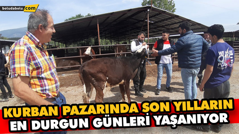 KURBAN PAZARINDA SON YILLARIN EN DURGUN GÜNLERİ YAŞANIYOR KURBAN PAZARINDA SON YILLARIN EN DURGUN GÜNLERİ YAŞANIYOR