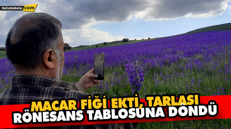 MACAR FİĞİ EKTİ, TARLASI RÖNESANS TABLOSUNA DÖNDÜ