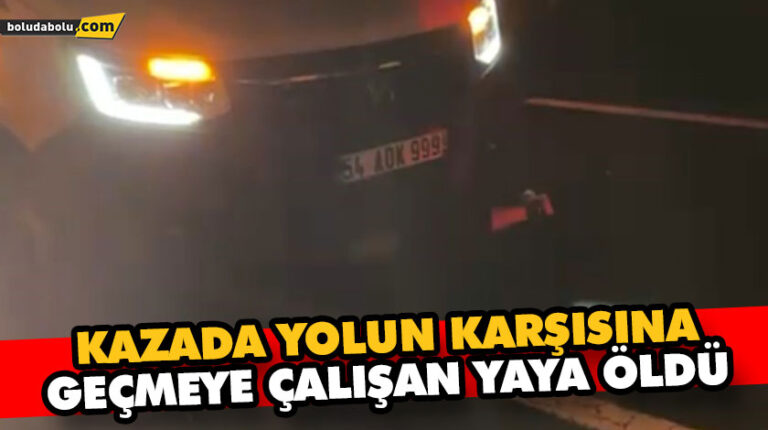 KAZADA YOLUN KARŞISINA GEÇMEYE ÇALIŞAN YAYA ÖLDÜ