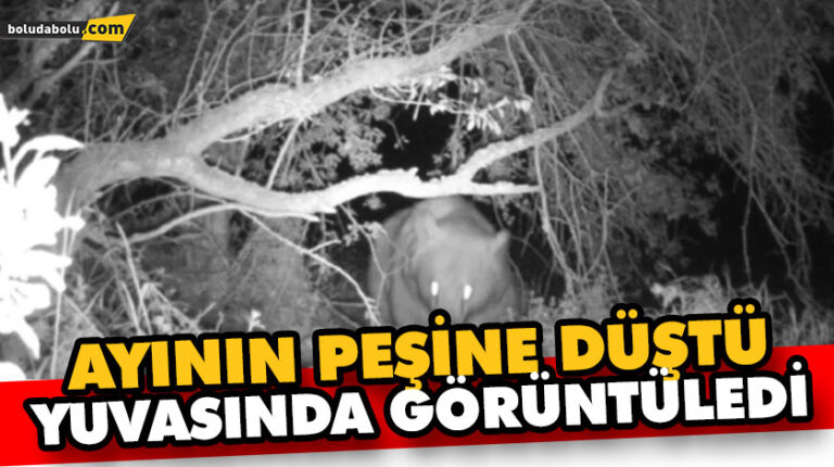 AYININ PEŞİNE DÜŞTÜ, YUVASINDA GÖRÜNTÜLEDİ