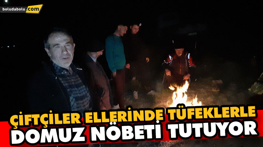 ÇİFTÇİLER ELLERİNDE TÜFEKLERLE DOMUZ NÖBETİ TUTUYOR ÇİFTÇİLER ELLERİNDE TÜFEKLERLE DOMUZ NÖBETİ TUTUYOR