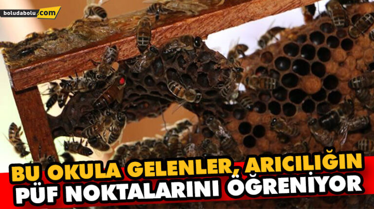 BU OKULA GELENLER, ARICILIĞIN PÜF NOKTALARINI ÖĞRENİYOR