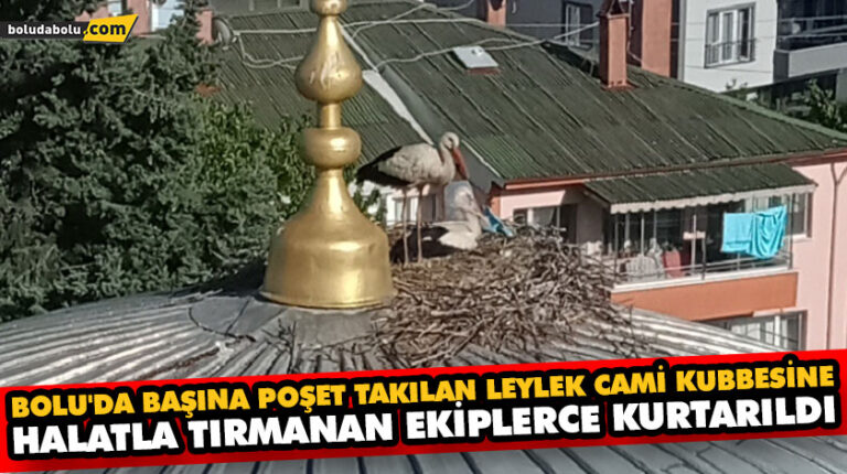 BOLU’DA BAŞINA POŞET TAKILAN LEYLEK CAMİ KUBBESİNE HALATLA TIRMANAN EKİPLERCE KURTARILDI