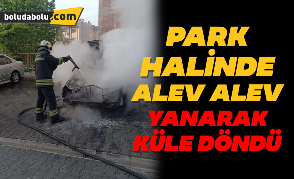 Park halinde alev alev yanarak küle döndü Park halinde alev alev yanarak küle döndü