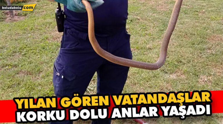 YILAN GÖREN VATANDAŞLAR KORKU DOLU ANLAR YAŞADI