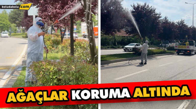 AĞAÇLAR KORUMA ALTINDA