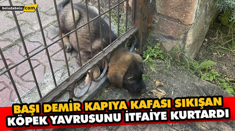 BAŞI DEMİR KAPIYA KAFASI SIKIŞAN KÖPEK YAVRUSUNU İTFAİYE KURTARDI
