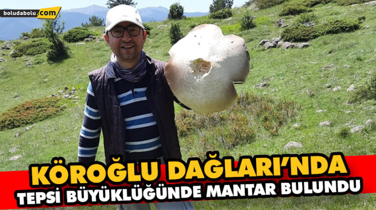 TEPSİ BÜYÜKLÜĞÜNDEKİ İÇİ KIZIL MANTAR GÖRENLERİ ŞAŞIRTTI