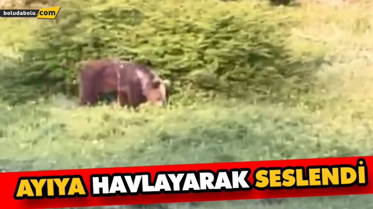 AYIYA HAVLAYARAK SESLENDİ