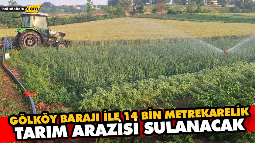 GÖLKÖY BARAJI İLE 14 BİN METREKARELİK TARIM ARAZİSİ SULANACAK GÖLKÖY BARAJI İLE 14 BİN METREKARELİK TARIM ARAZİSİ SULANACAK