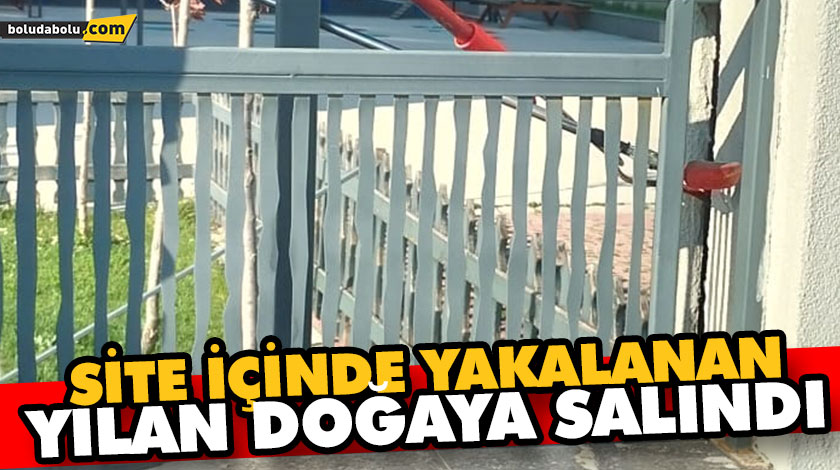 SİTE İÇİNDE YAKALANAN YILAN DOĞAYA SALINDI SİTE İÇİNDE YAKALANAN YILAN DOĞAYA SALINDI