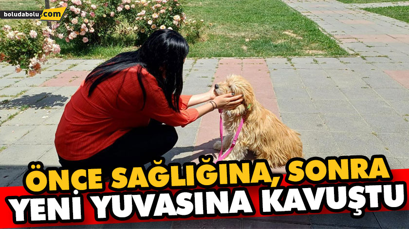 ÖNCE SAĞLIĞINA, SONRA YENİ YUVASINA KAVUŞTU ÖNCE SAĞLIĞINA, SONRA YENİ YUVASINA KAVUŞTU