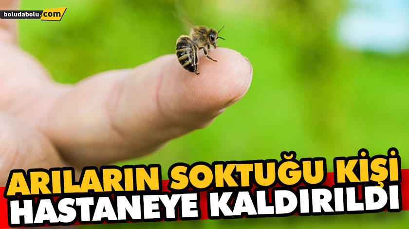 ARILARIN SOKTUĞU KİŞİ HASTANEYE KALDIRILDI ARILARIN SOKTUĞU KİŞİ HASTANEYE KALDIRILDI