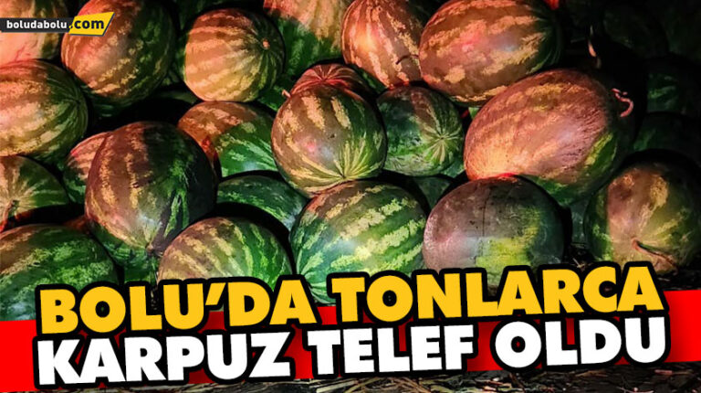 BOLU’DA TONLARCA KARPUZ TELEF OLDU