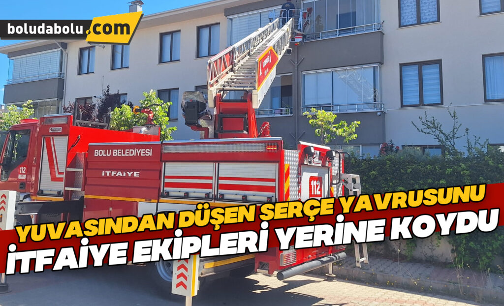 Bolu’da yuvasından düşen serçe yavrusunu itfaiye ekipleri yerine koydu Bolu’da yuvasından düşen serçe yavrusunu itfaiye ekipleri yerine koydu