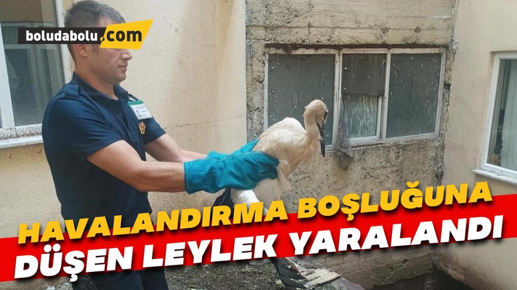 Binanın havalandırma boşluğuna düşen leylek yaralandı Binanın havalandırma boşluğuna düşen leylek yaralandı
